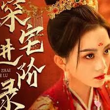 《深宅进阶录》：宅斗升级，看小女子如何逆袭成为当家主母！