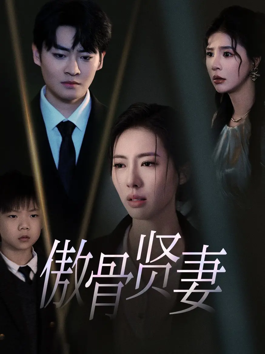 《傲骨贤妻》：从家庭主妇到律政女王的华丽蜕变，不止是职场剧！