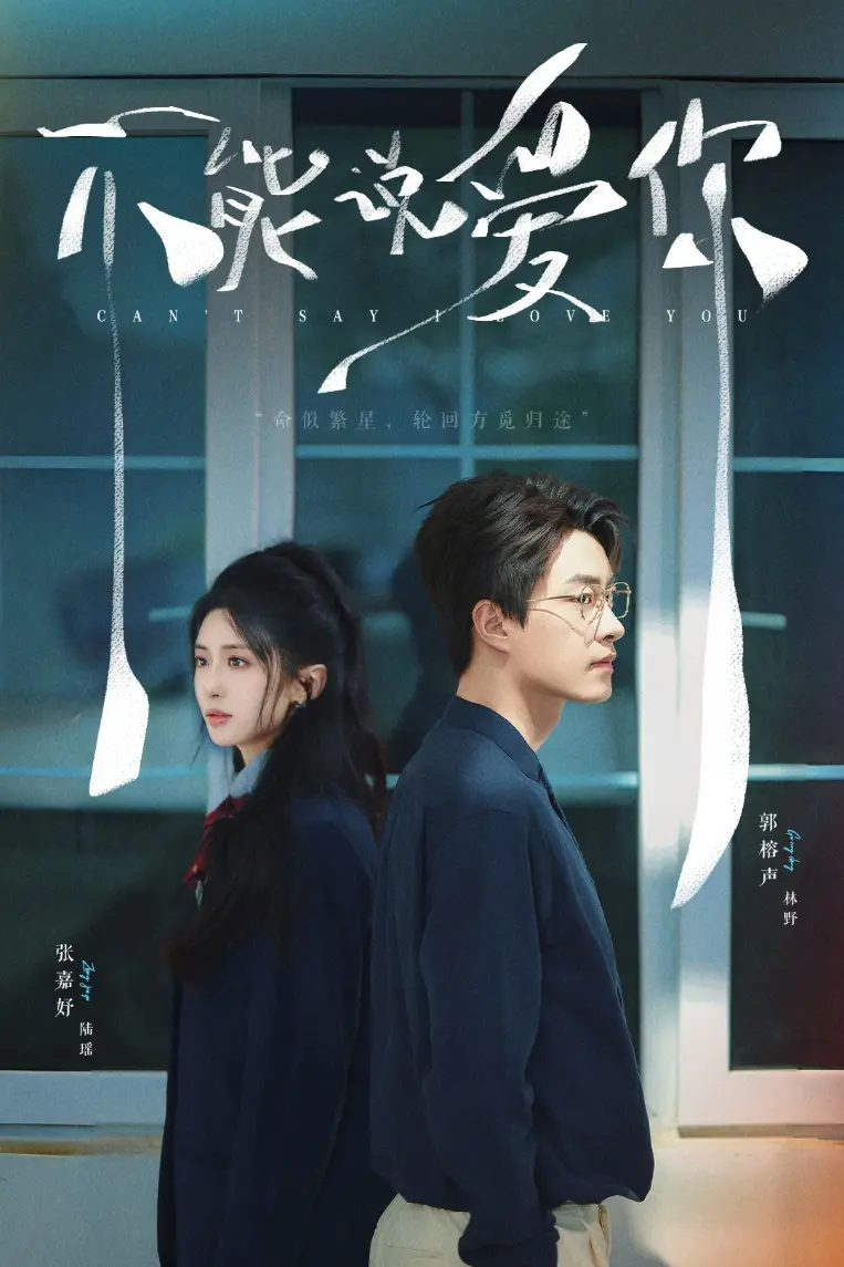 不能说爱你 海报