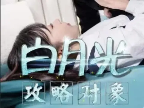 白月光攻略对象 海报